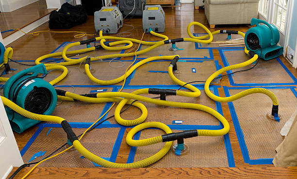 Professional Sewage Cleanup technician working in Caruthers, CA